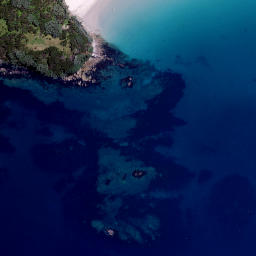 Satellite imagery of Ururaha Point, NZ