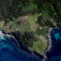 Satellite imagery of Awanui Point, NZ