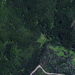 Satellite imagery of Tuateawa Point, NZ
