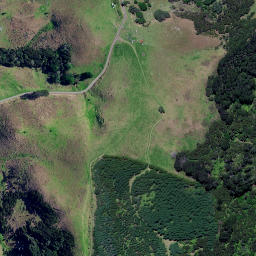 Satellite imagery of 3961, NZ