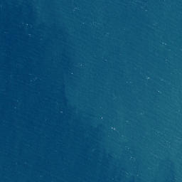 Satellite imagery of Torehina Point, NZ