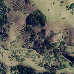Satellite imagery of 3961, NZ