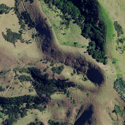 Satellite imagery of 3961, NZ