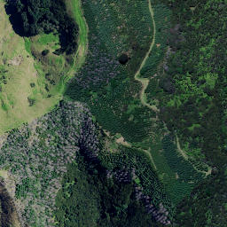 Satellite imagery of 3961, NZ