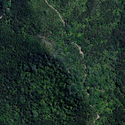Satellite imagery of Tuateawa Point, NZ
