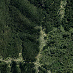 Satellite imagery of XVI (Waiwera SD), NZ