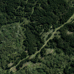 Satellite imagery of XVI (Waiwera SD), NZ