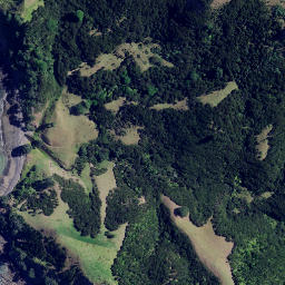 Satellite imagery of 3961, NZ