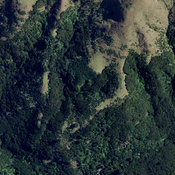 Satellite imagery of 3961, NZ