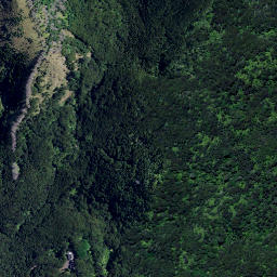 Satellite imagery of 3961, NZ