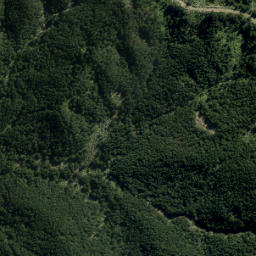 Satellite imagery of XVI (Waiwera SD), NZ