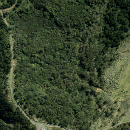 Satellite imagery of XVI (Waiwera SD), NZ