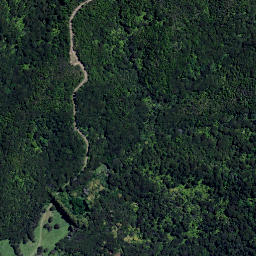 Satellite imagery of Tokangawha Point, NZ