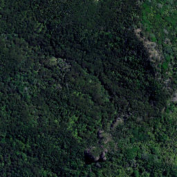 Satellite imagery of Tokangawha Point, NZ