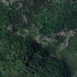 Satellite imagery of Tokangawha Point, NZ