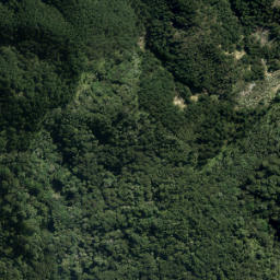 Satellite imagery of XVI (Waiwera SD), NZ