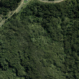 Satellite imagery of XVI (Waiwera SD), NZ
