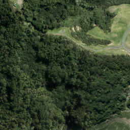 Satellite imagery of XVI (Waiwera SD), NZ