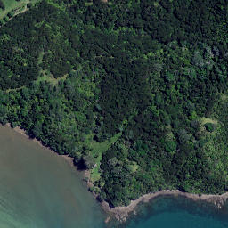 Satellite imagery of Tokangawha Point, NZ