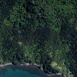 Satellite imagery of Tokangawha Point, NZ