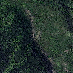 Satellite imagery of Tokangawha Point, NZ