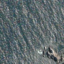 Satellite imagery of Punta Cerro Alto, CL