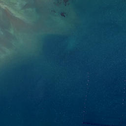 Satellite imagery of Tokangawha Point, NZ