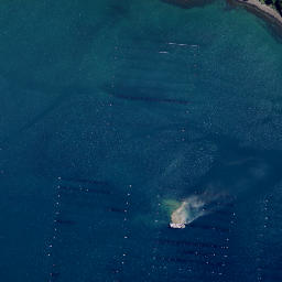 Satellite imagery of Tokangawha Point, NZ