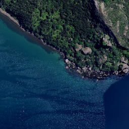 Satellite imagery of Tokangawha Point, NZ