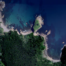 Satellite imagery of Anarake Point, NZ
