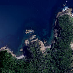 Satellite imagery of Anarake Point, NZ