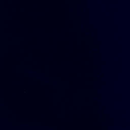 Satellite imagery of Tamai Head, NZ