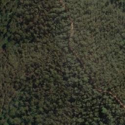 Satellite imagery of Mount Martin, AU