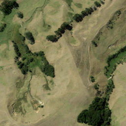 Satellite imagery of 20 Y PUKETUTU, NZ