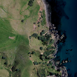 Satellite imagery of Papatai Point, NZ