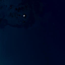 Satellite imagery of Papatai Point, NZ