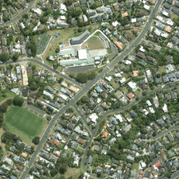 Satellite imagery of Tipau Point, NZ