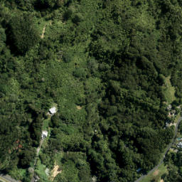 Satellite imagery of 10 PUKEATUA, NZ