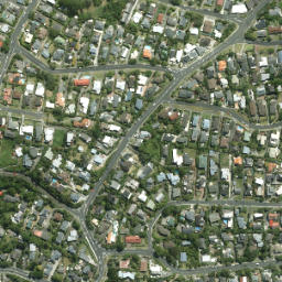 Satellite imagery of Tipau Point, NZ