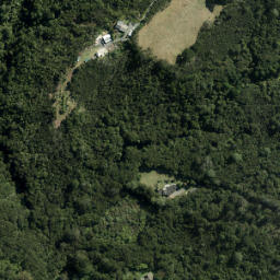 Satellite imagery of A1 (Waitemata SD), NZ