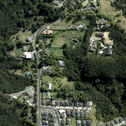 Satellite imagery of A1 (Waitemata SD), NZ