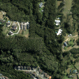 Satellite imagery of A1 (Waitemata SD), NZ