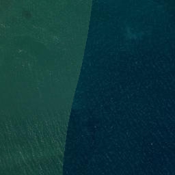 Satellite imagery of Tipau Point, NZ