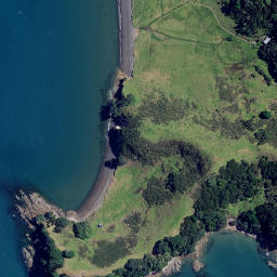 Satellite imagery of Hautapu Point, NZ