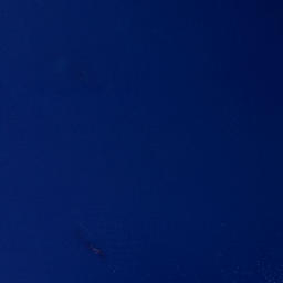 Satellite imagery of Opito Point, NZ