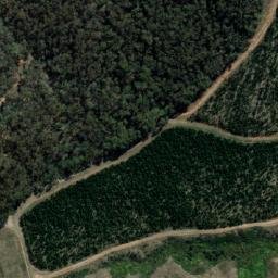 Satellite imagery of Pitty Hill, AU