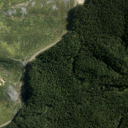 Satellite imagery of A NO 2, NZ