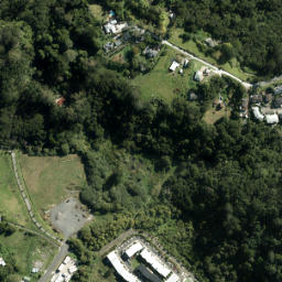 Satellite imagery of A1 (Waitemata SD), NZ