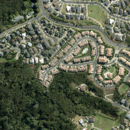 Satellite imagery of A1 (Waitemata SD), NZ