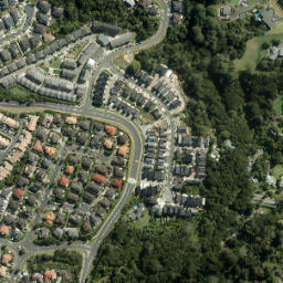 Satellite imagery of A1 (Waitemata SD), NZ